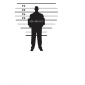 prison-law-graphics